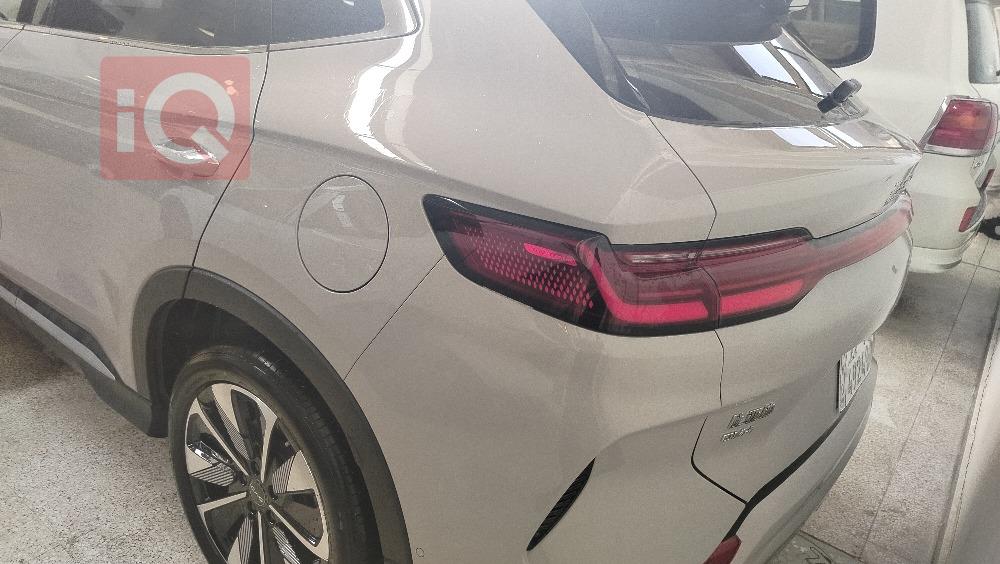 بي واي دي سونغ بلس